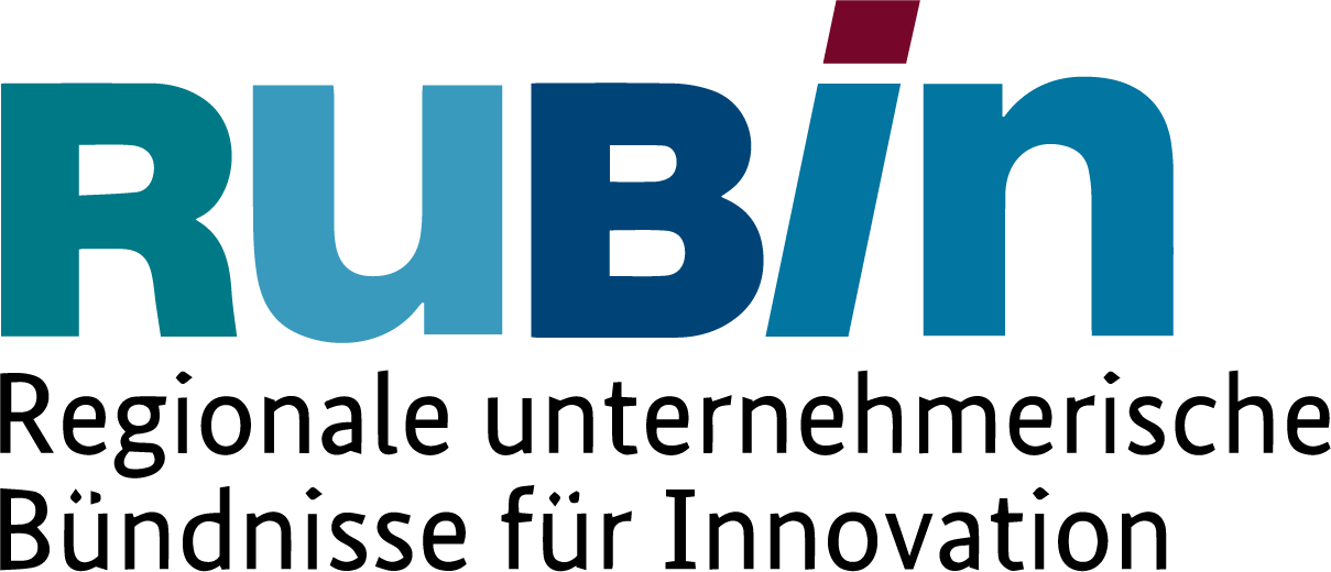 RUBIN Logo